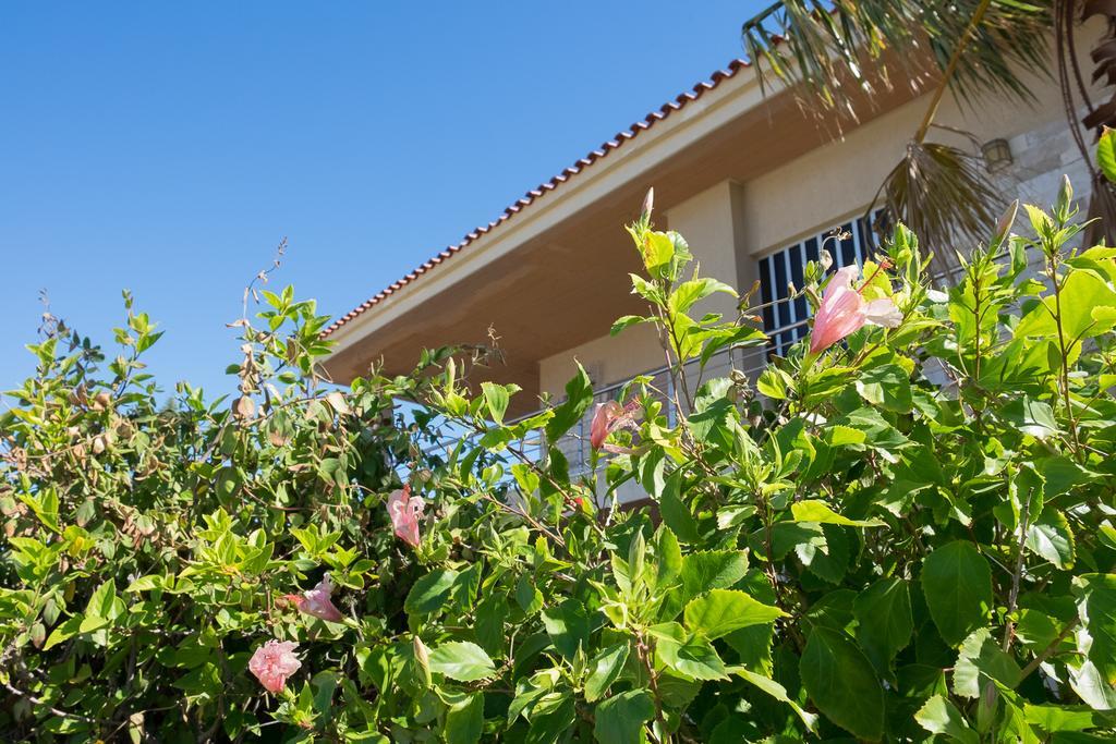 Sunset Beach House Kato Alepochori Exterior foto